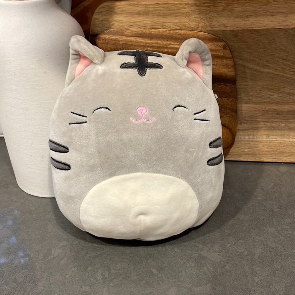 Cat Squishmallow 10” no tags